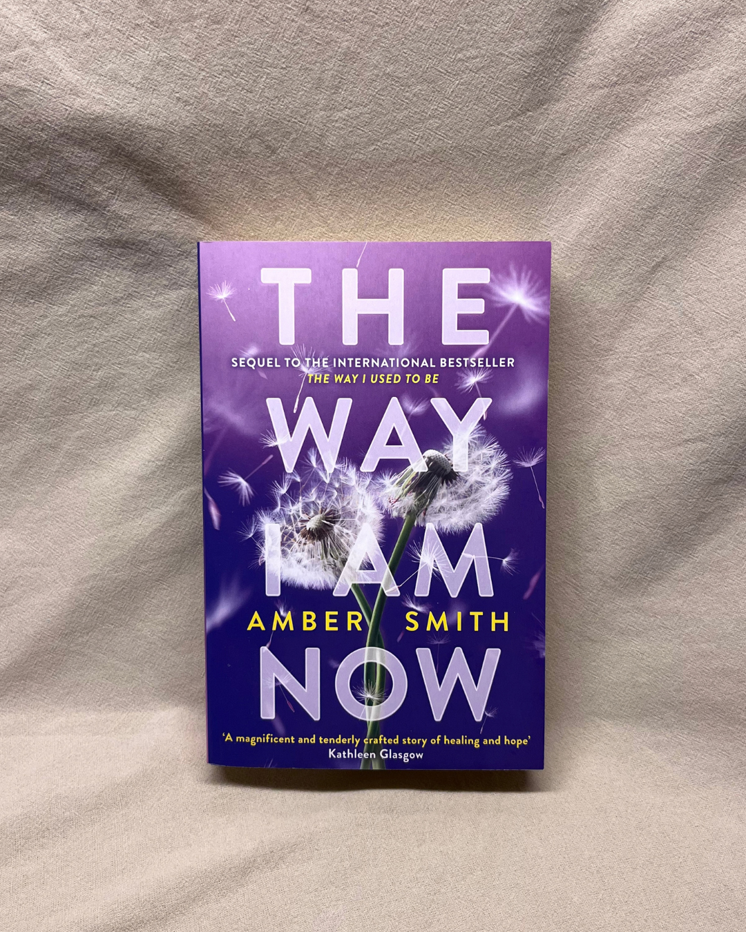 The Way I Am Now - Amber Smith