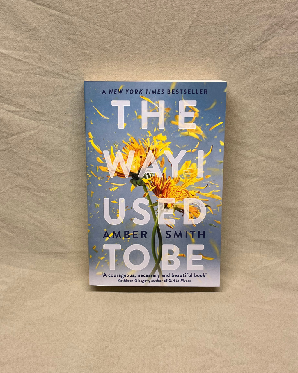 The Way I Used to Be