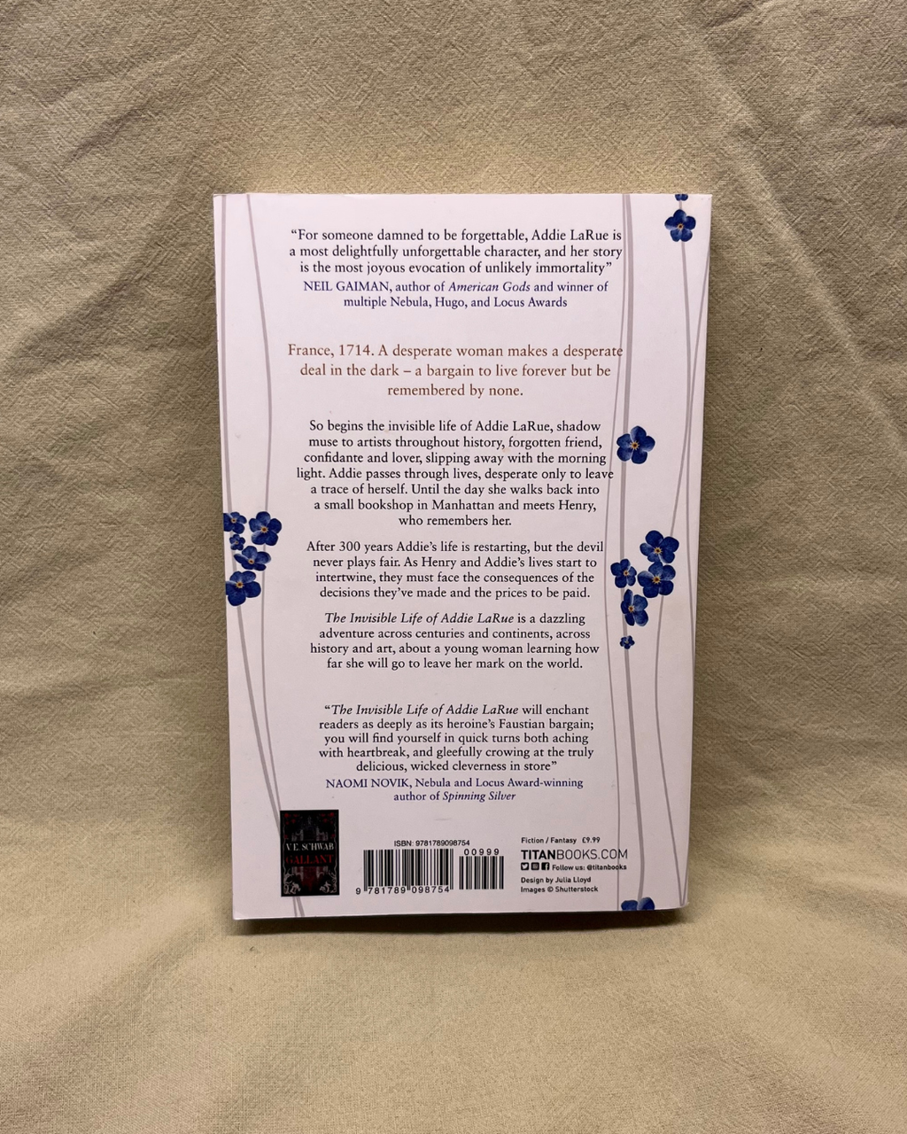 The Invisible Life of Addie LaRue - V.E. Schwab